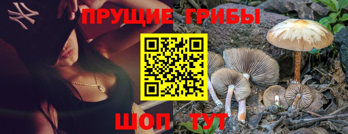 Псилоцибиновые грибы мицелий Верхняя Пышма