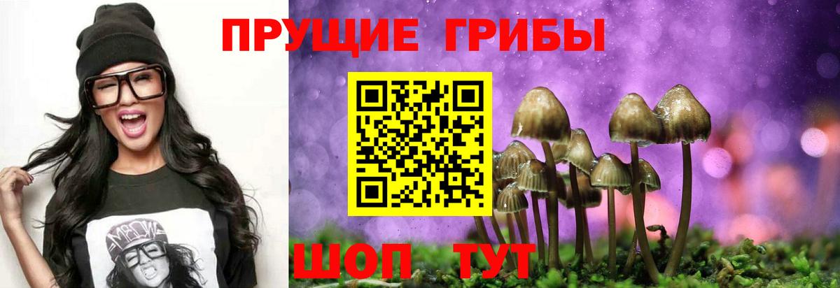 Верхняя Пышма  Галлюциногенные грибы GOLDEN TEACHER  Вход с VPN 